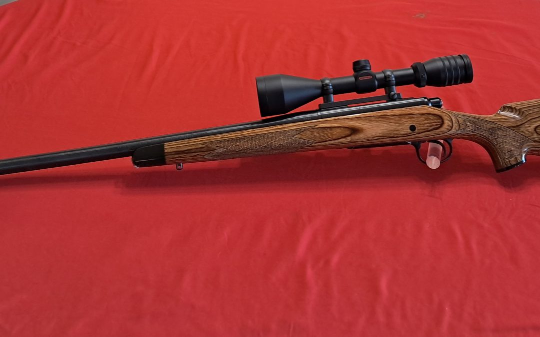 Remington 700 in 308  with scope $1275.oo obo