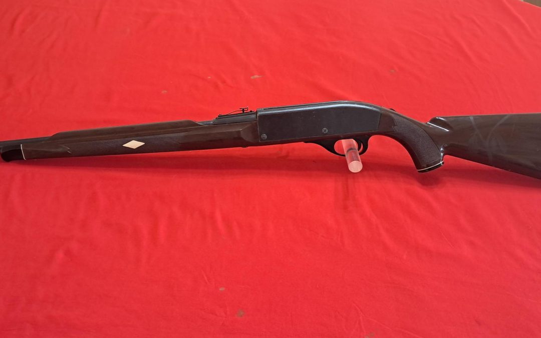 Remington Nylon 66 22lr $300.oo OBO