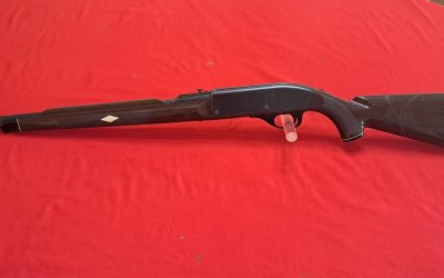 Remington Nylon 66 22lr $300.oo OBO