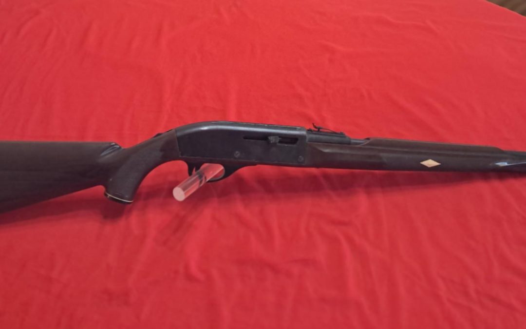 Remington Nylon 66 22lr semi auto post 64 $275.oo