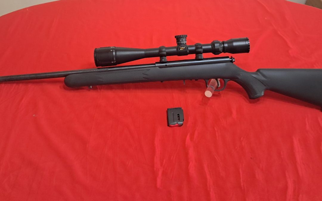 Savage 93R17 bolt action 17hmr rifle with scope $375,00 obo